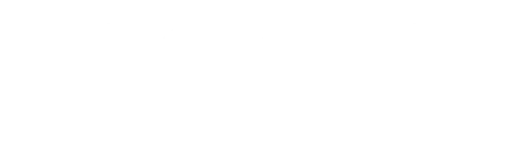 jmNaiss logo blanco